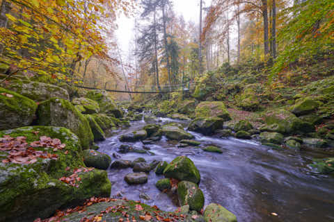 Gemeinde Freyung-Grafenau Landkreis Freyung-Grafenau Buchberger Leite Hängebrücke Ringelai-Freyung (Dirschl Johann) Deutschland FRG